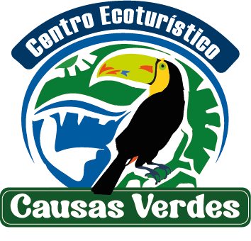 Causas Verdes